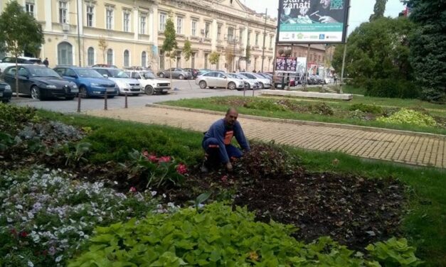 JESENJE ULEPŠAVANJE GRADA