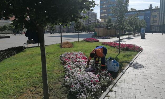 JKP „Čistoća i zelenilo“: uređeni parkovi, započeto hemijsko tretiranje zelenih površina