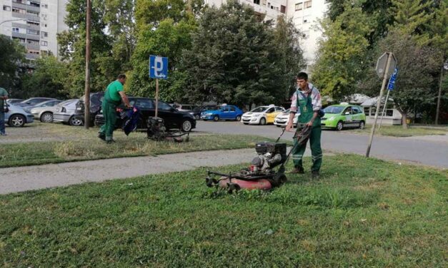 Uređuju se zelene površine u gradu