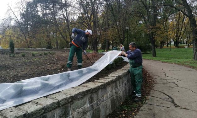 Uređena površina oko spomenika u Karađorđevom parku