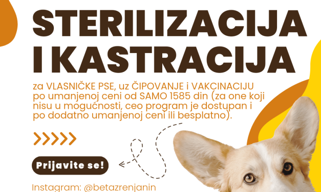 Besplatna sterilizacija pasa uz pomoć Grada Zrenjanina, JKP „Čistoća i zelenilo“ i udruženja Beta