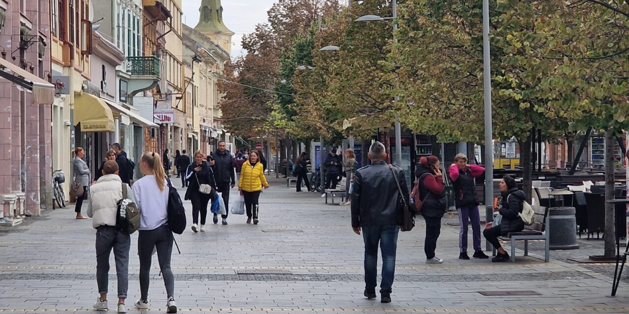 Realizacija programa i mera za zapošljavanje osoba sa invaliditetom (OSI) u Srednjobanatskom okrugu tokom godine