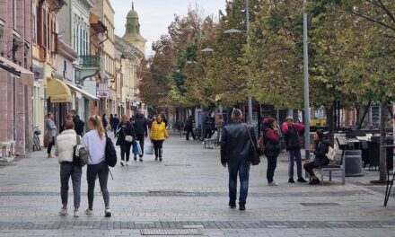 Realizacija programa i mera za zapošljavanje osoba sa invaliditetom (OSI) u Srednjobanatskom okrugu tokom godine