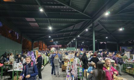 Uskoro Noćni bazar u Zrenjaninu- Prijave u toku