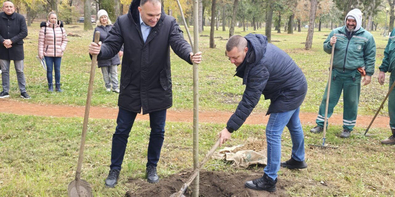 Šećeranski park dobija novih 250 sadnica