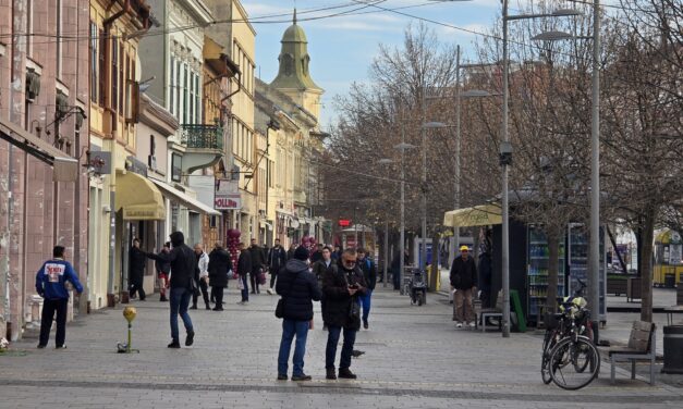 Realizacija programa i mera za zapošljavanje u Srednjobanatskom okrugu tokom 2024. godine