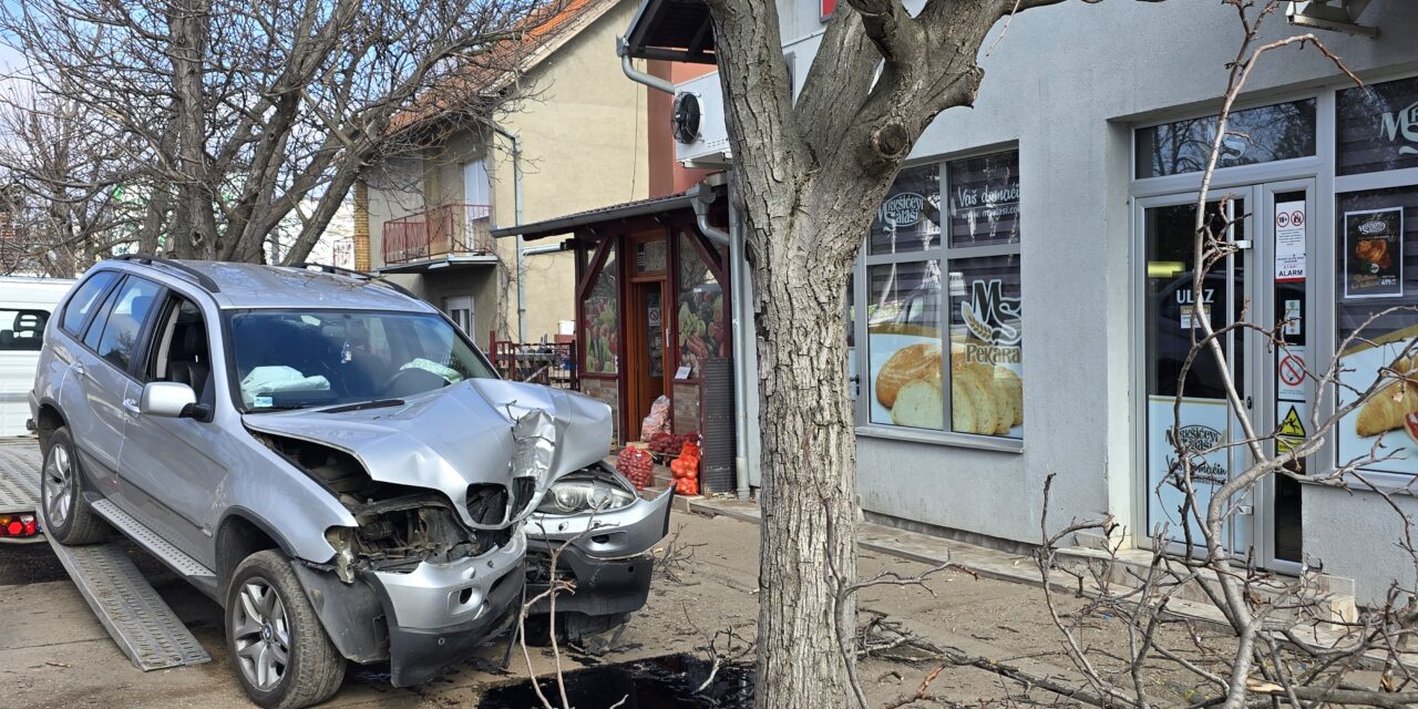 Zakucao se u drvo ispred obližnje mesare i piljarnice na Zelenom polju