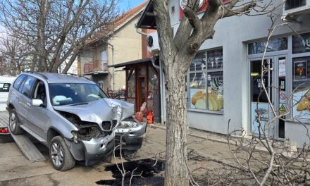 Zakucao se u drvo ispred obližnje mesare i piljarnice na Zelenom polju